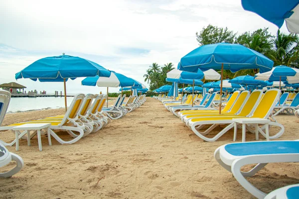 Beau Paysage Tropical Chaises Longues Chaises Longues Parasol Sous Palmier — Photo