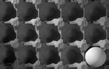 Karton desenli kağıt pakette beyaz bir tavuk yumurtası. Görüntü siyah ve beyaz, yakın plan..