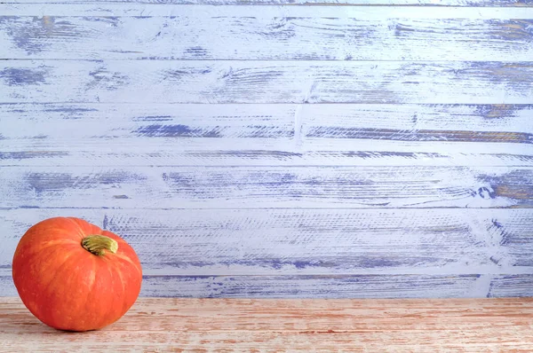 One Orange Pumpkin Halloween Lying Wooden Table Wooden Blue Background — Stock Photo, Image