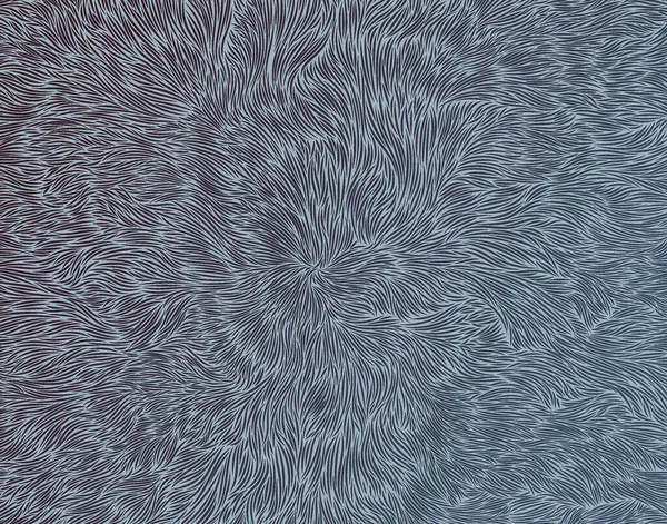 Texture Fourrure Animale Bleue Grise — Image vectorielle