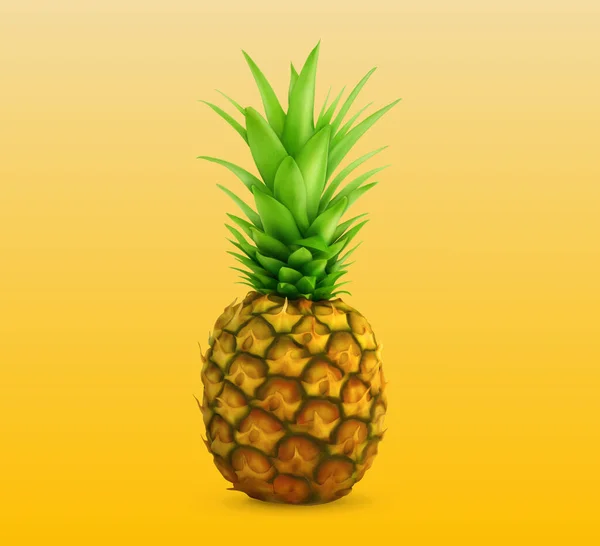 Piña Realista Aislada Una Sola Fruta — Vector de stock