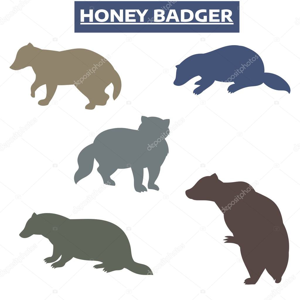 Honey Badger Colorful Icon Set
