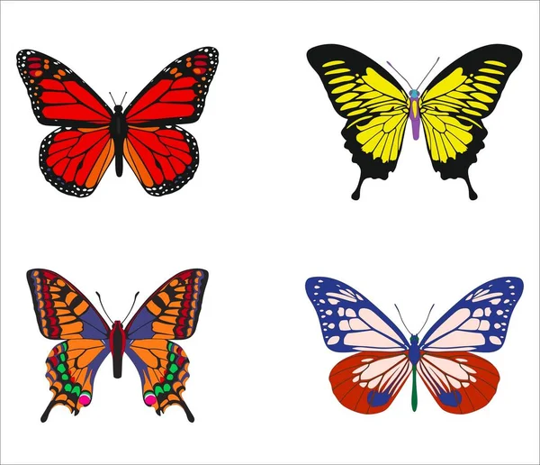 Schöne Schmetterlinge Sammlung Von Vier — Stockvektor