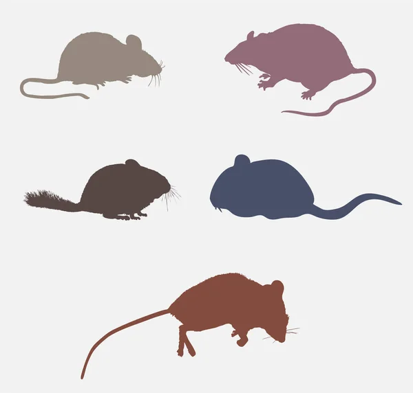 Rat Mouse Wild Animal Colorful Icon Set — Stock Vector