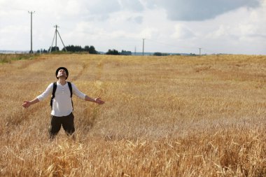 Mısır gevreği tarlasında bir turist. Buğday tarlasında bir adam. Tahıl hasadı.