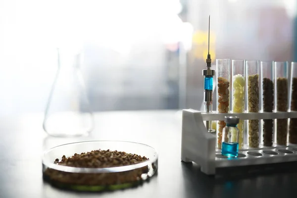 Test tubes with seeds of selection plants. Research Analyzing Agricultural Grains And seeds In The Laborator