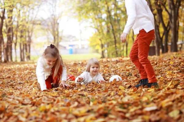 Familia Joven Paseo Por Parque Otoño Día Soleado Felicidad Estar —  Fotos de Stock