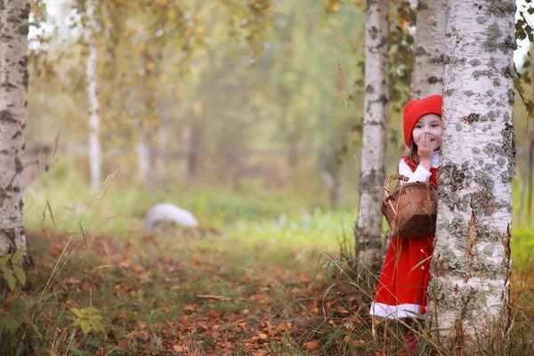 Une Petite Fille Avec Chapeau Rouge Des Robes Promène Dans — Photo