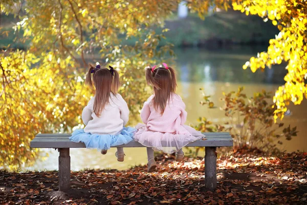 Les Feuilles Tombent Dans Parc Enfants Pour Une Promenade Dans — Photo