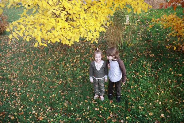 Giovane Famiglia Una Passeggiata Nel Parco Autunnale Nella Giornata Sole — Foto Stock