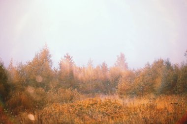 Yaz sonu. Eşit sıcaklıkta.