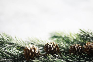 Evergreen ağaç oyuncakları, kar taneleri, küreler ve arka planda köknar dalı, metin için yeri olan Xmas tebrik kartı