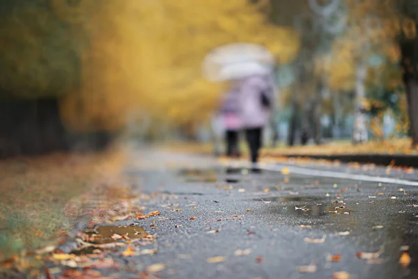 Őszi Háttérképet Eső Parkban Során — Stock Fotó