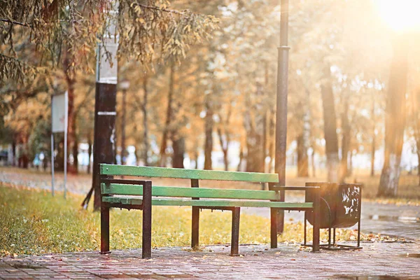 Herfst Regen Het Park Tijdens — Stockfoto