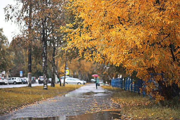 Jesienny Deszcz Parku Podczas — Zdjęcie stockowe