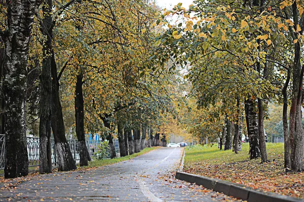 Autumn Rain Park — Stock Photo, Image