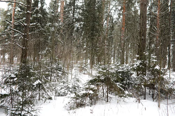 Kırsal Alanların Kış Manzarası Kardaki Yollar — Stok fotoğraf