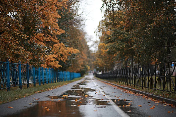 Осінній Дощ Парку Під Час — стокове фото