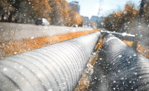 İlk sno günlerinde Sonbahar parkı