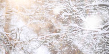 Winter Park 'ta. Karlı havada manzara manzarası. Ocak Günü.