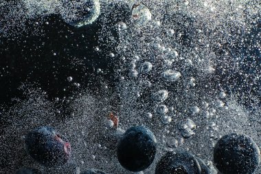 Olgun tatlı yaban mersinine su damlası. Metnin için fotokopi alanı olan taze yabanmersini arkaplanı. Vejetaryen ve vejetaryen kavramı. Yabanmersini dokusunun makro dokusu.