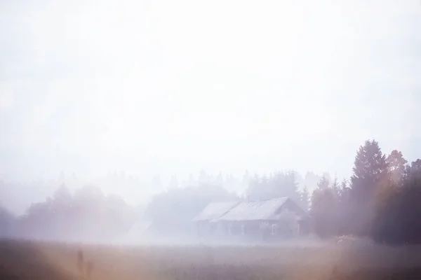 Nebel Auf Dem Feld Abendliche Natur Sommer Mit Weißem Nebel — Stockfoto