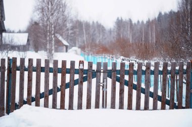 Kış orman manzarası. Kar altında uzun ağaçlar. Ocak ayının soğuk günü parkta.