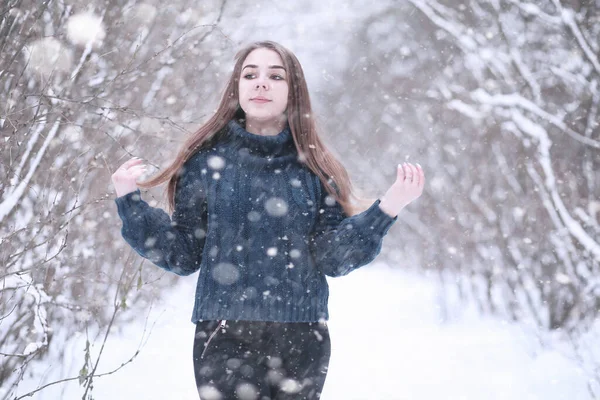 Öğleden Sonra Kar Fırtınasında Bir Kış Parkındaki Kız — Stok fotoğraf