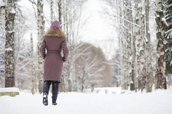 공원의 소녀가 산책을 있습니다 숲에서의 크리스마스 소녀는 공원에서 겨울을 즐긴다 — 스톡 사진