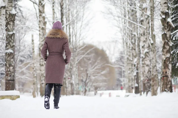 Een Jong Meisje Een Winterpark Een Wandeling Kerstvakantie Het Winterbos — Stockfoto