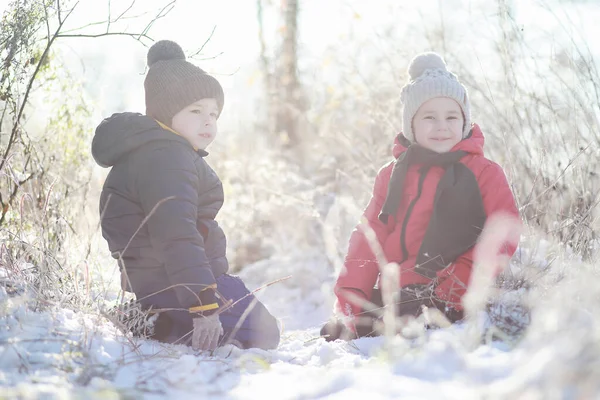 Kışın Parktaki Çocuklar Sno Ile Oynarlar — Stok fotoğraf