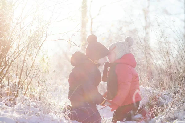 Дети Зимнем Парке Играют Сно — стоковое фото