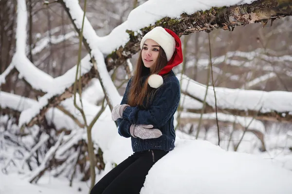 Una Joven Parque Invierno Paseo Vacaciones Navidad Bosque Invierno Chica — Foto de Stock