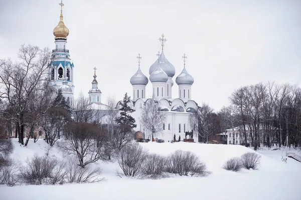 Зимний Лес Высокие Деревья Снежным Покровом Январь Морозный День Парке — стоковое фото