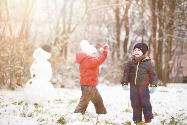 Kışın Parktaki Çocuklar Sno Ile Oynarlar — Stok fotoğraf