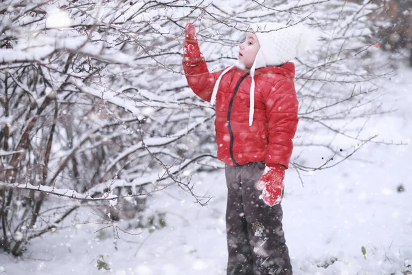 Los Niños Caminan Parque Con Primera Nieve — Foto de Stock