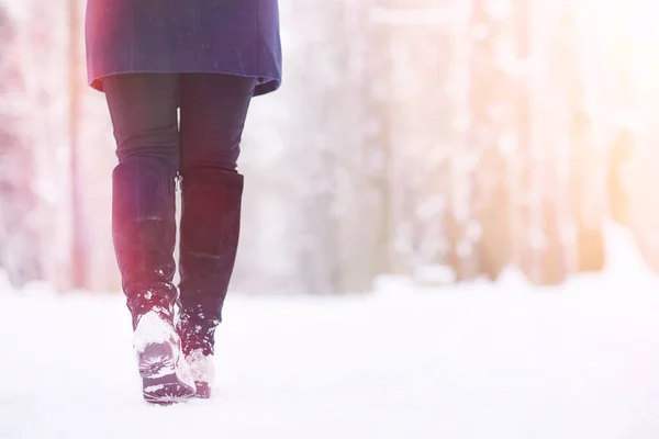 Uma Menina Parque Inverno Uma Caminhada Férias Natal Floresta Inverno — Fotografia de Stock