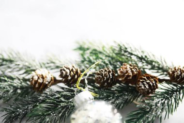 Evergreen ağaç oyuncakları, kar taneleri, küreler ve arka planda köknar dalı, metin için yeri olan Xmas tebrik kartı