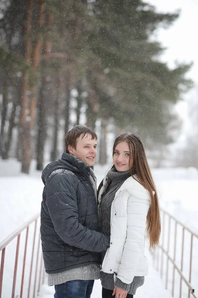 Pair Lovers Date Winter Afternoon Snow Blizzar — Stock Photo, Image