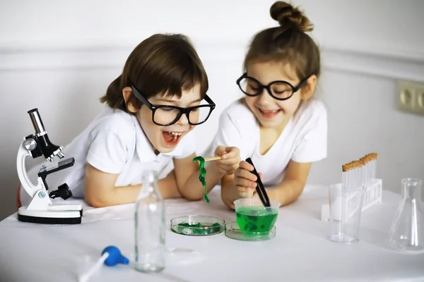 Two Cute Children Chemistry Lesson Making Experiments Isolated White Backgroun Royalty Free Stock Images