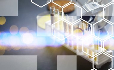 Seçim bitkilerinin tohumlarıyla test tüpleri. Laboratuvarda Tarım Tahılları ve Tohumları İnceleme Araştırması