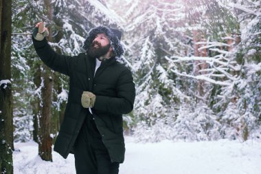 Kış ormanlarında sakallı adam. Çekici, mutlu, sakallı genç bir adam parkta yürüyor..