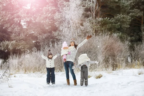 Bonne Famille Jouant Riant Hiver Extérieur Dans Neige Parc Municipal — Photo