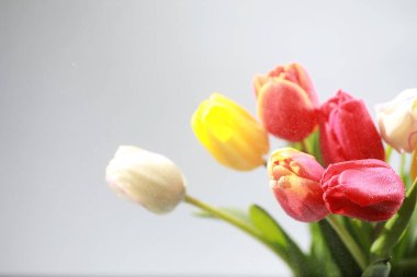 Bir buket taze çiçek. Sevdiğine bayram hediyesi. Sevgililer Günü arkaplanı. Gül, lale, Iris çiçek aranjmanı.