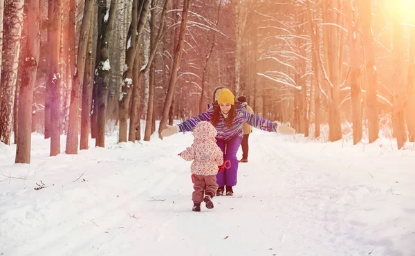 Parque Invierno Bajo Nieve Enero Por Mañana Caminar Por Bosque — Foto de Stock