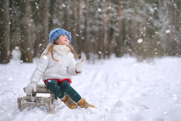 冬天的童话 一个年轻的母亲和她的女儿骑雪橇在森林里 新年前夕 公园里一个骑在雪橇上带着礼物的女孩 两个姐姐在新年公园里散步 骑着一辆装有礼物的雪橇 — 图库照片