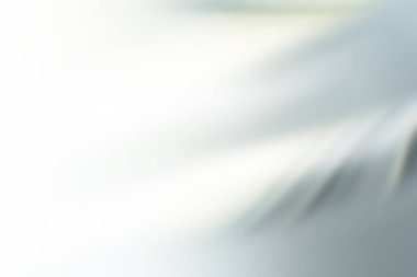 soyut çoklu renk arkaplanı bulanık ve çizgili dalgalar