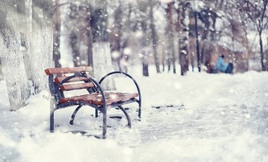Kış orman manzarası. Kar altında uzun ağaçlar. Ocak ayının soğuk günü parkta.