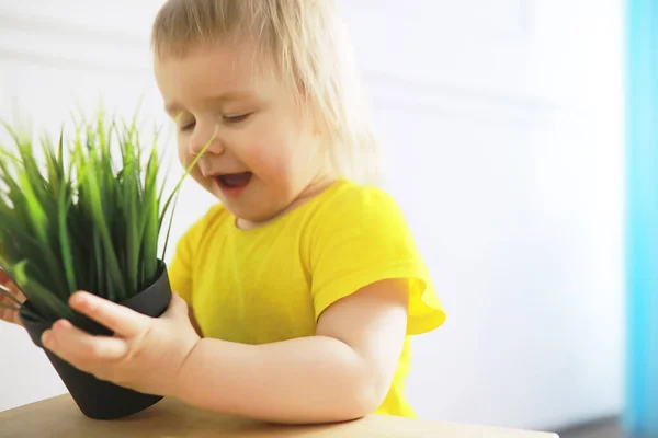 Menina Bonito Pequena Criança Divertindo Segurando Panela Com Flor Plantada — Fotografia de Stock