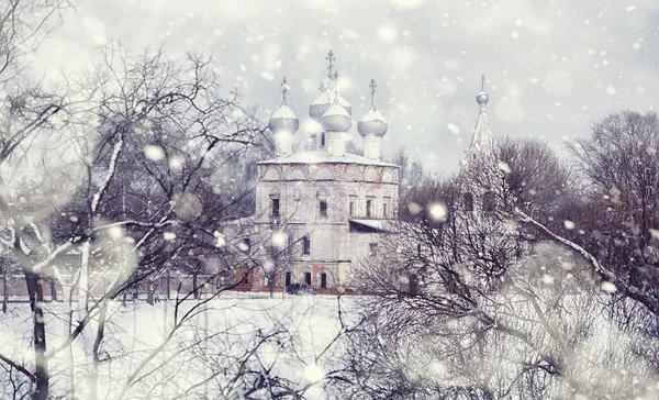 Winter Forest Landscape Tall Trees Snow Cover January Frosty Day — Stock Photo, Image